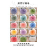 【團購】魔法球羽毛 漸層新色